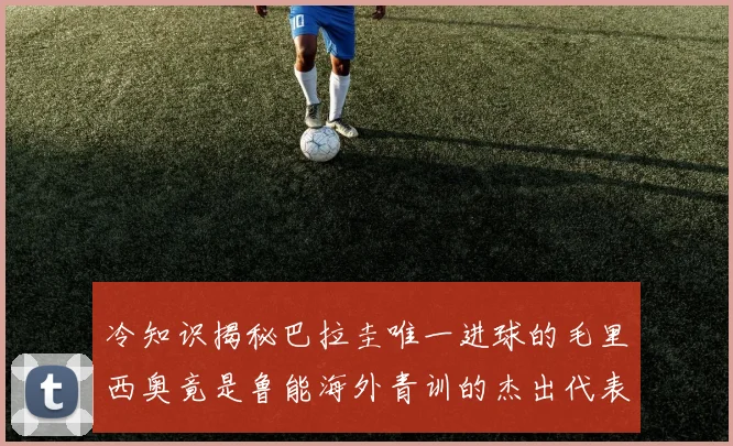 冷知识揭秘巴拉圭唯一进球的毛里西奥竟是鲁能海外青训的杰出代表