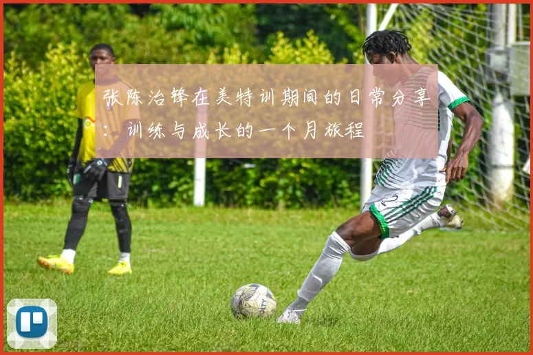张陈治锋在美特训期间的日常分享：训练与成长的一个月旅程